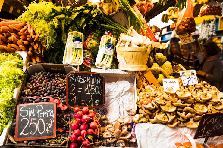 Programa Bolsa Família Brasil: O Impacto Vital na Alimentação das Famílias