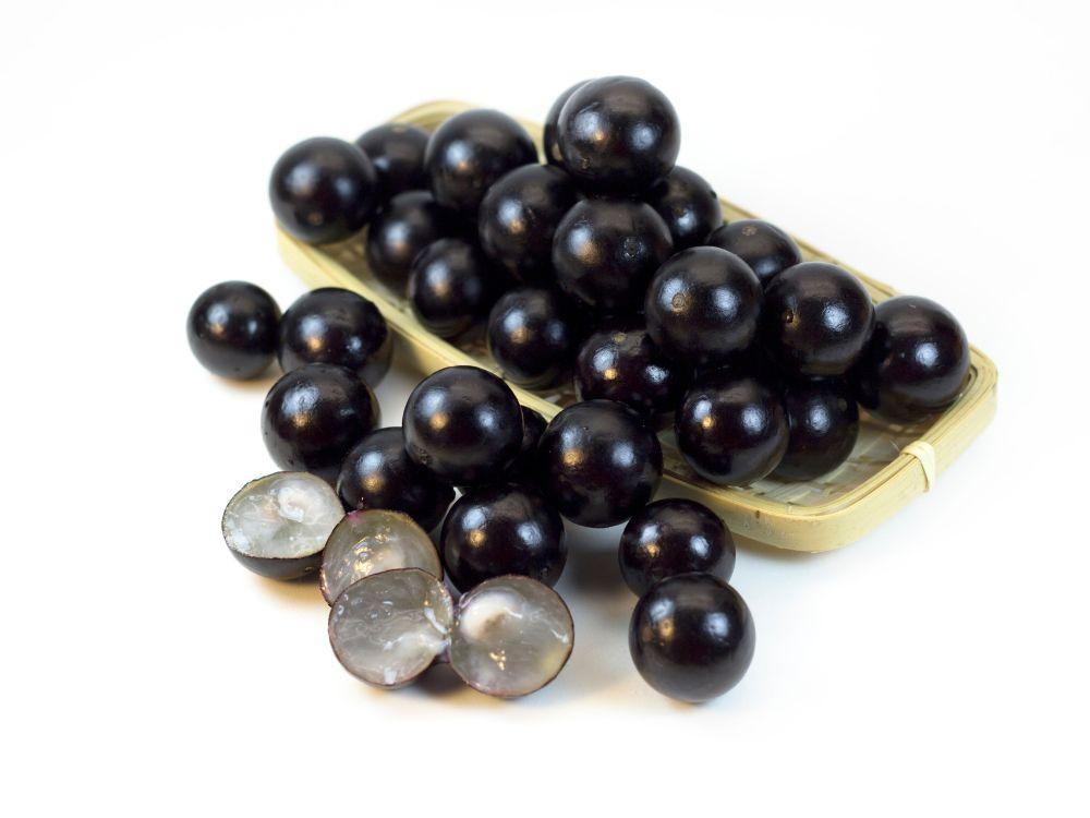 Guia prático de como fazer vinho de jabuticaba em casa 