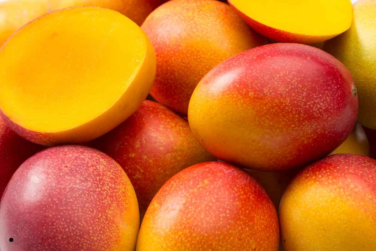 Mitos sobre a manga: Desvendando Verdades e Curiosidades sobre essa Fruta Tropical